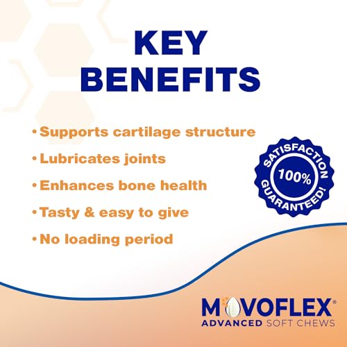Joint Support Supplement for Dogs - Hip and Joint Support - Dog Joint Supplement - Hip and Joint Supplement Dogs - 60 Soft Chews for Medium Dogs (By Virbac)