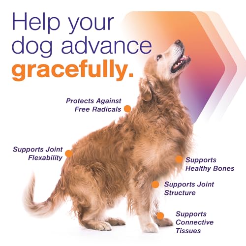 Joint Support Supplement for Dogs - Hip and Joint Support - Dog Joint Supplement - Hip and Joint Supplement Dogs - 60 Soft Chews for Medium Dogs (By Virbac)