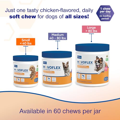 Joint Support Supplement for Dogs - Hip and Joint Support - Dog Joint Supplement - Hip and Joint Supplement Dogs - 60 Soft Chews for Medium Dogs (By Virbac)