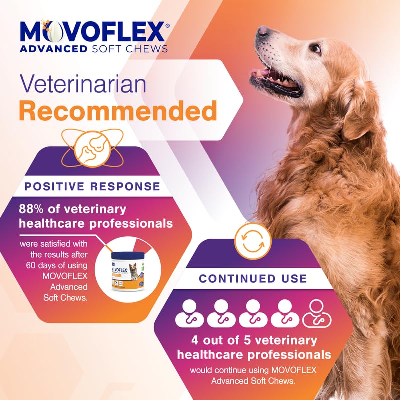 Joint Support Supplement for Dogs - Hip and Joint Support - Dog Joint Supplement - Hip and Joint Supplement Dogs - 60 Soft Chews for Medium Dogs (By Virbac)